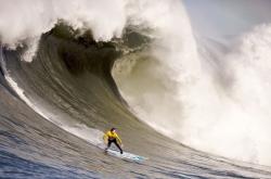开云体育登录-霍勒迪存在感拉满，广厦队踏平凯尔特人，书写亚洲篮球新篇章