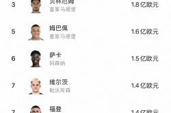 开云在线直播-国际足坛转会市场热度不减，新赛季球员转会价格首度公布的简单介绍