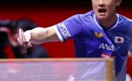 开云官网-日本乒乓球队绝杀德国乒乓球队，张本智和惊艳世界的简单介绍