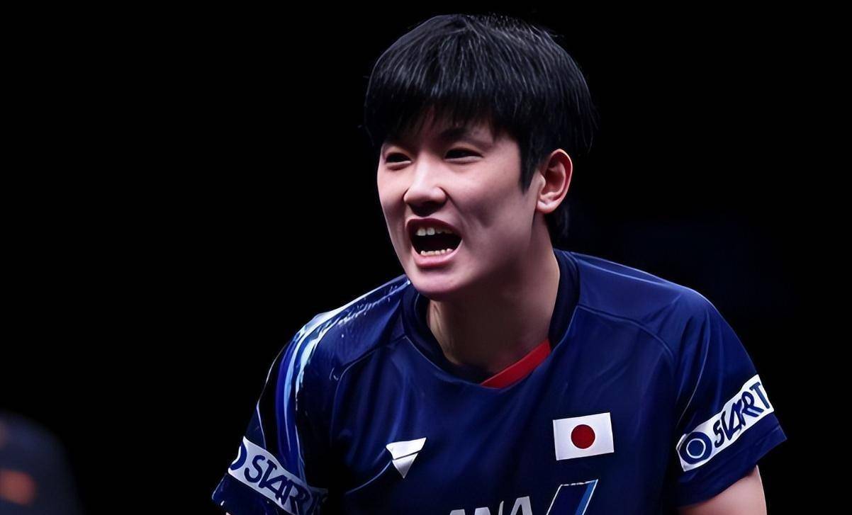 波兰乒乓球队翻盘韩国乒乓球队，张本智和惊艳世界的简单介绍