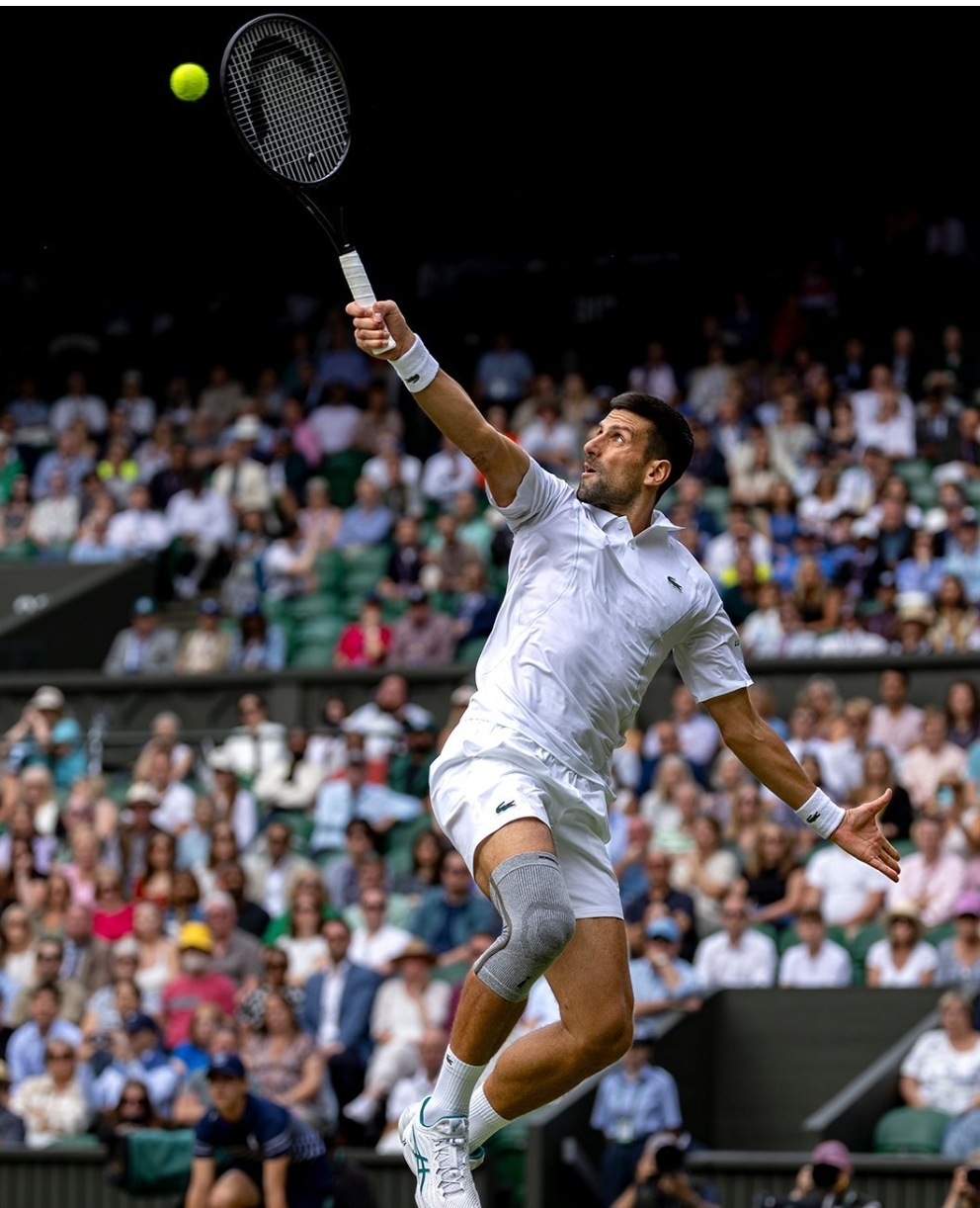 包含温网横扫蒙特卡洛大师赛,德约科维奇高光表现的词条 包含温网横扫蒙特卡洛大师赛,德约科维奇高光表现的词条