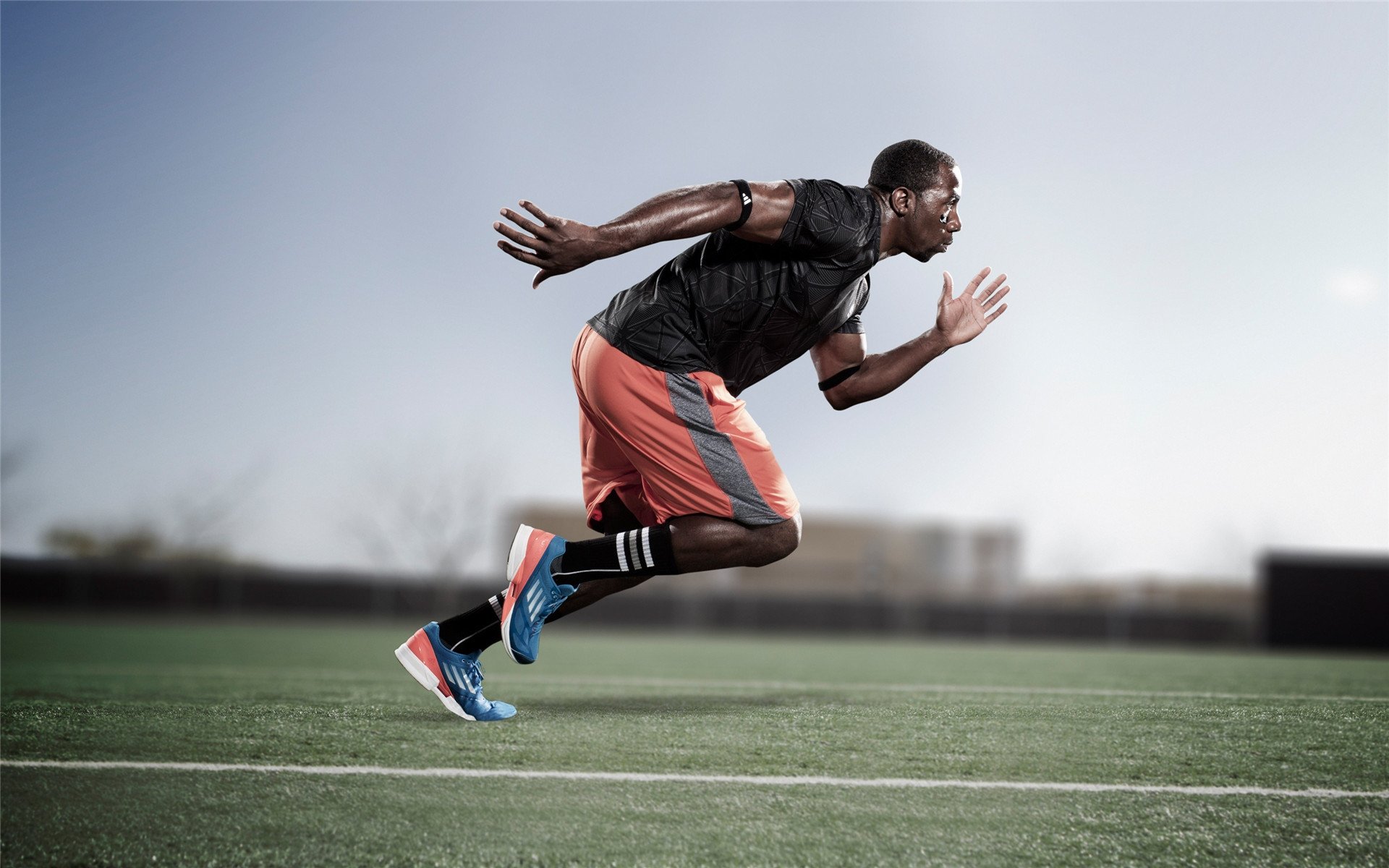 太阳击败北京队，F1年度争冠焦点战外的体育启示