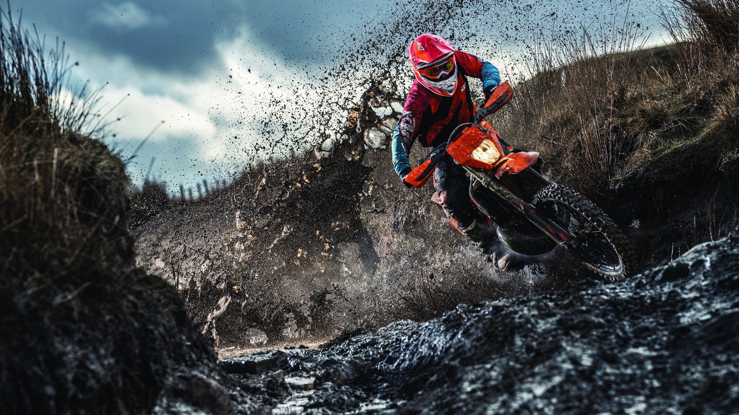 欧冠淘汰赛焦点战，太阳如何封锁开拓者